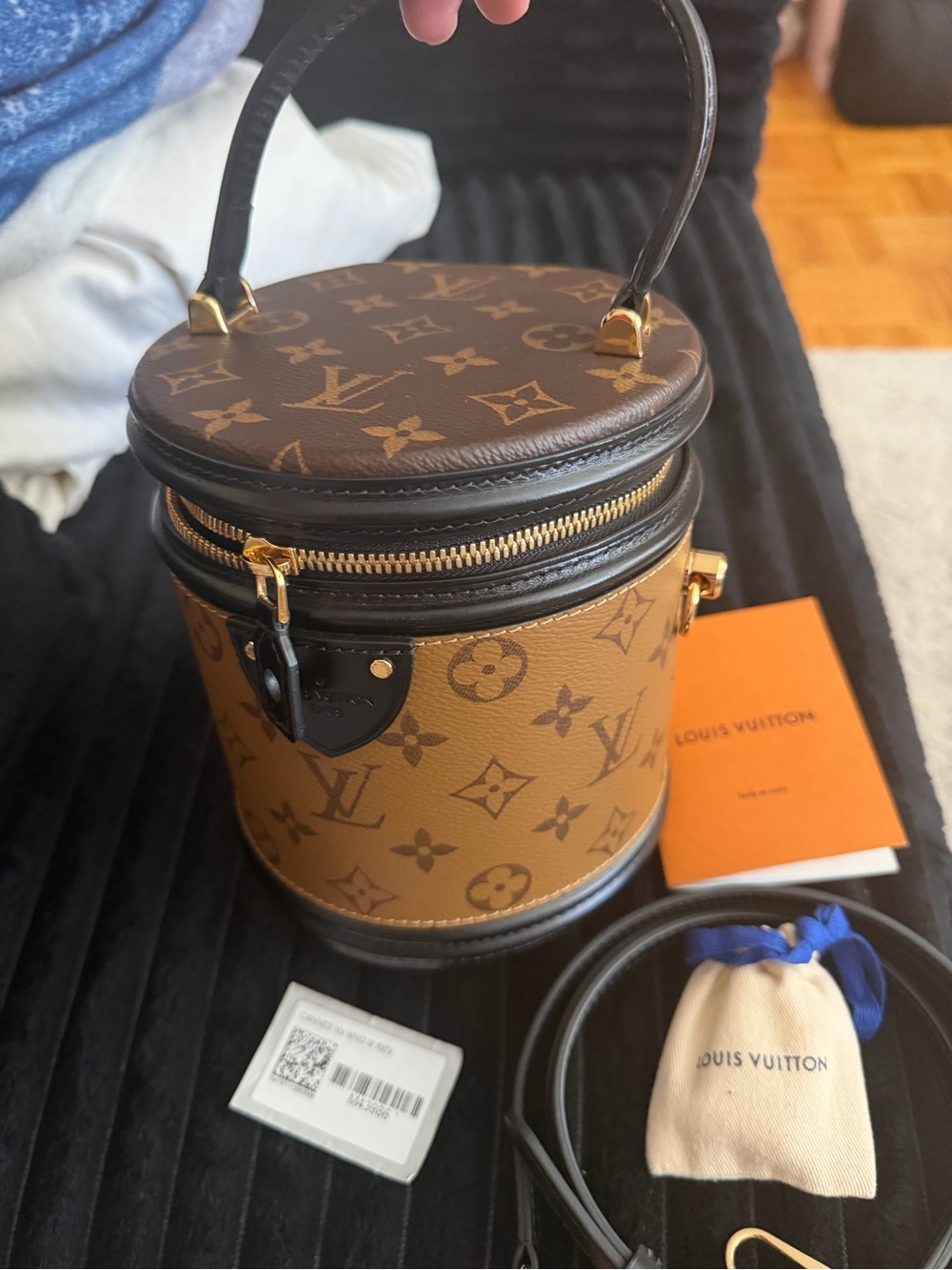 Louis Vuitton Cannes bag